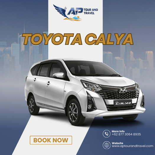 ap-tour-travel-calya